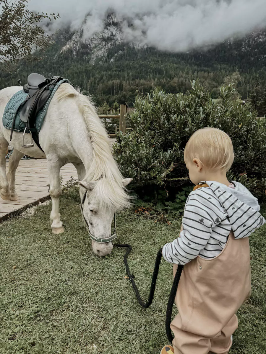 Post Family Resort Unken Ponyreiten