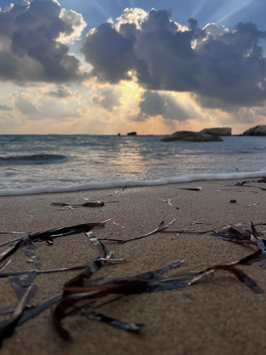 Cap St. Georges Hotel & Resort Zypern Beach