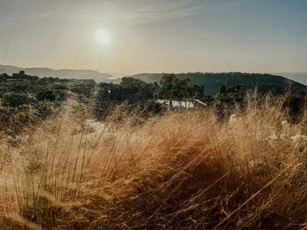 Adler Sizilien Landschaft